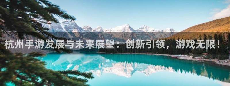巅峰国际登录：杭州手游发展与未来展望：创新引领，游戏无限！
