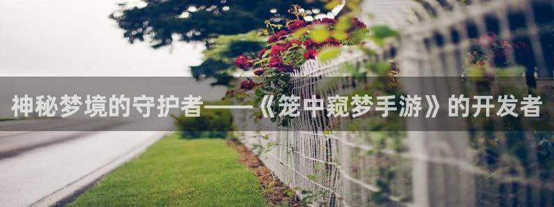 巅峰国际app：神秘梦境的守护者——《笼中窥梦手游》的开发者