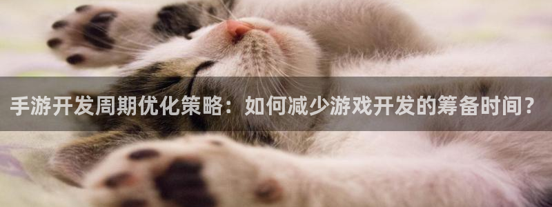 巅峰国际官网：手游开发周期优化策略：如何减少游戏开发的筹备时