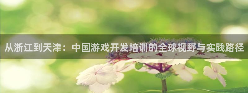 巅峰国际登陆：从浙江到天津：中国游戏开发培训的全球视野与实践