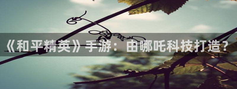 巅峰国际平台：《和平精英》手游：由哪吒科技打造？