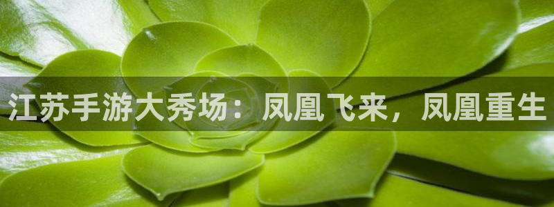 巅峰国际注册：江苏手游大秀场：凤凰飞来，凤凰重生