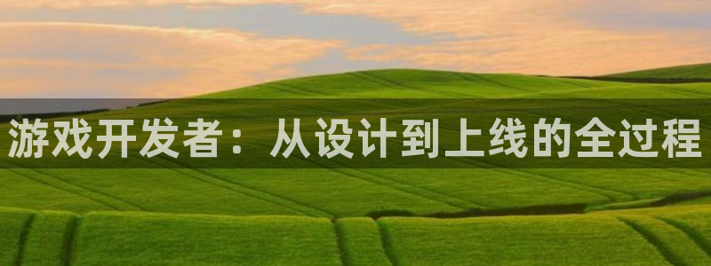 巅峰国际官网：游戏开发者：从设计到上线的全过程