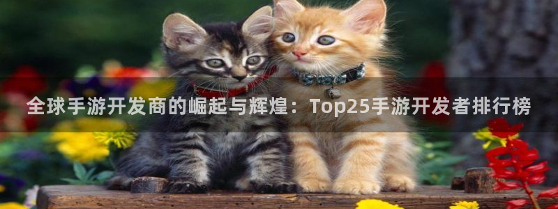 巅峰国际：全球手游开发商的崛起与辉煌：Top25手游开发者排