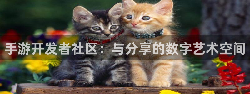 巅峰国际注册：手游开发者社区：与分享的数字艺术空间