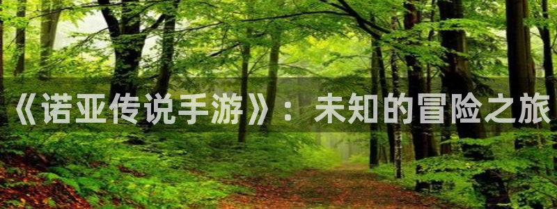 巅峰国际app：《诺亚传说手游》：未知的冒险之旅