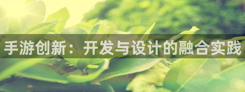 巅峰国际登陆：手游创新：开发与设计的融合实践