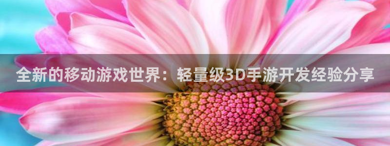 巅峰国际：全新的移动游戏世界：轻量级3D手游开发经验分享