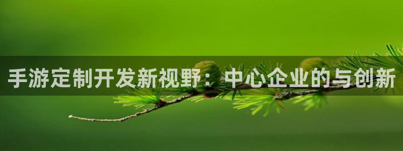 巅峰国际首页：手游定制开发新视野：中心企业的与创新