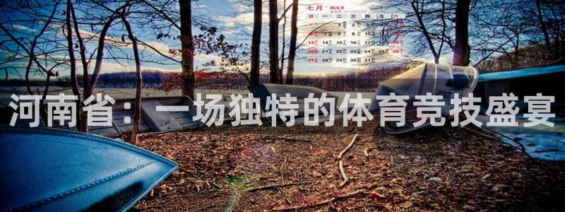 vsport体育在线官网
