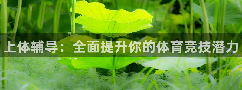 vsport体育在线官网