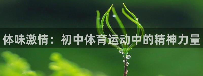vsport体育在线官网