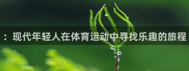 vsport体育：：现代年轻人在体育运动中寻找乐趣的旅程