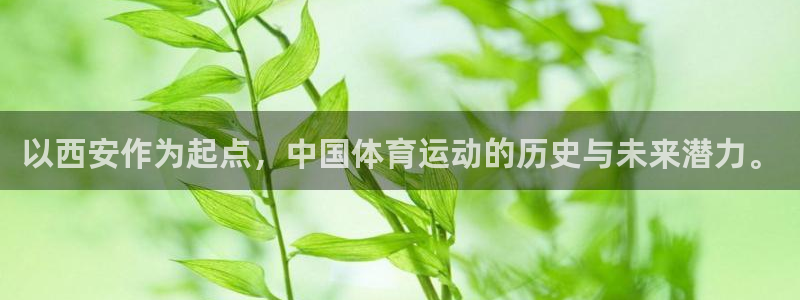 vsport体育在线官网