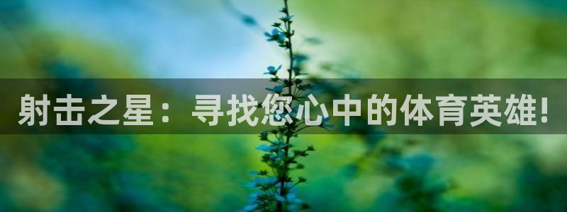 vsport体育：射击之星：寻找您心中的体育英雄!