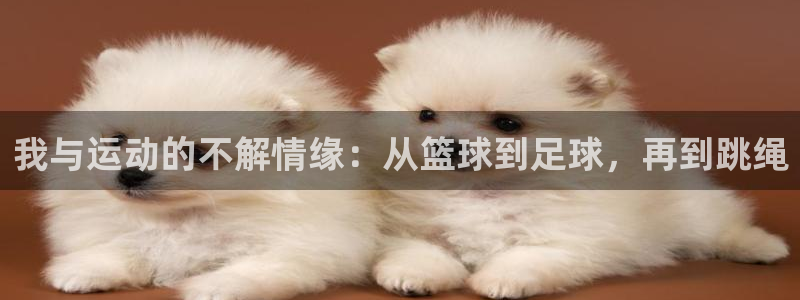 vsport体育：我与运动的不解情缘：从篮球到足球，再到跳绳