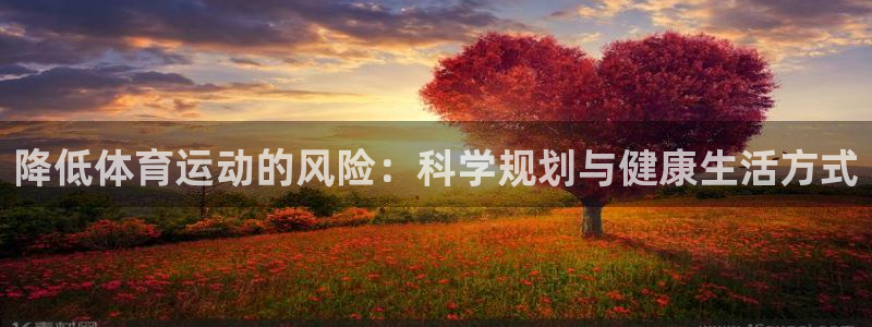vsport体育：降低体育运动的风险：科学规划与健康生活方式