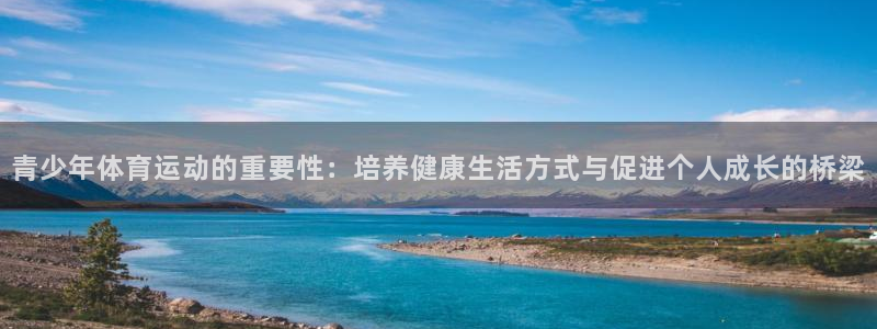 vsport体育在线官网：青少年体育运动的重要性：培养健康生活方式与促进个人成长的桥梁