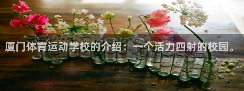 vsport体育在线官网：厦门体育运动学校的介绍：一个活力四射的校园。